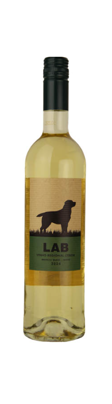 Casa Santos Lima Lab White 2025