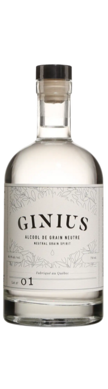 Ginius 